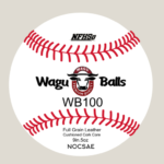 WB100 PRIME - Flat Seam High School Game Ball