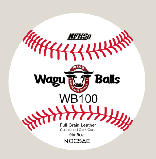 WB 100 PRIME. - Flat Seam High School Game Ball