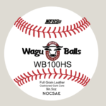 WB100HS PRIME - High Seam High School Game Ball