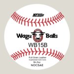 WB15B - Recreation Game Ball