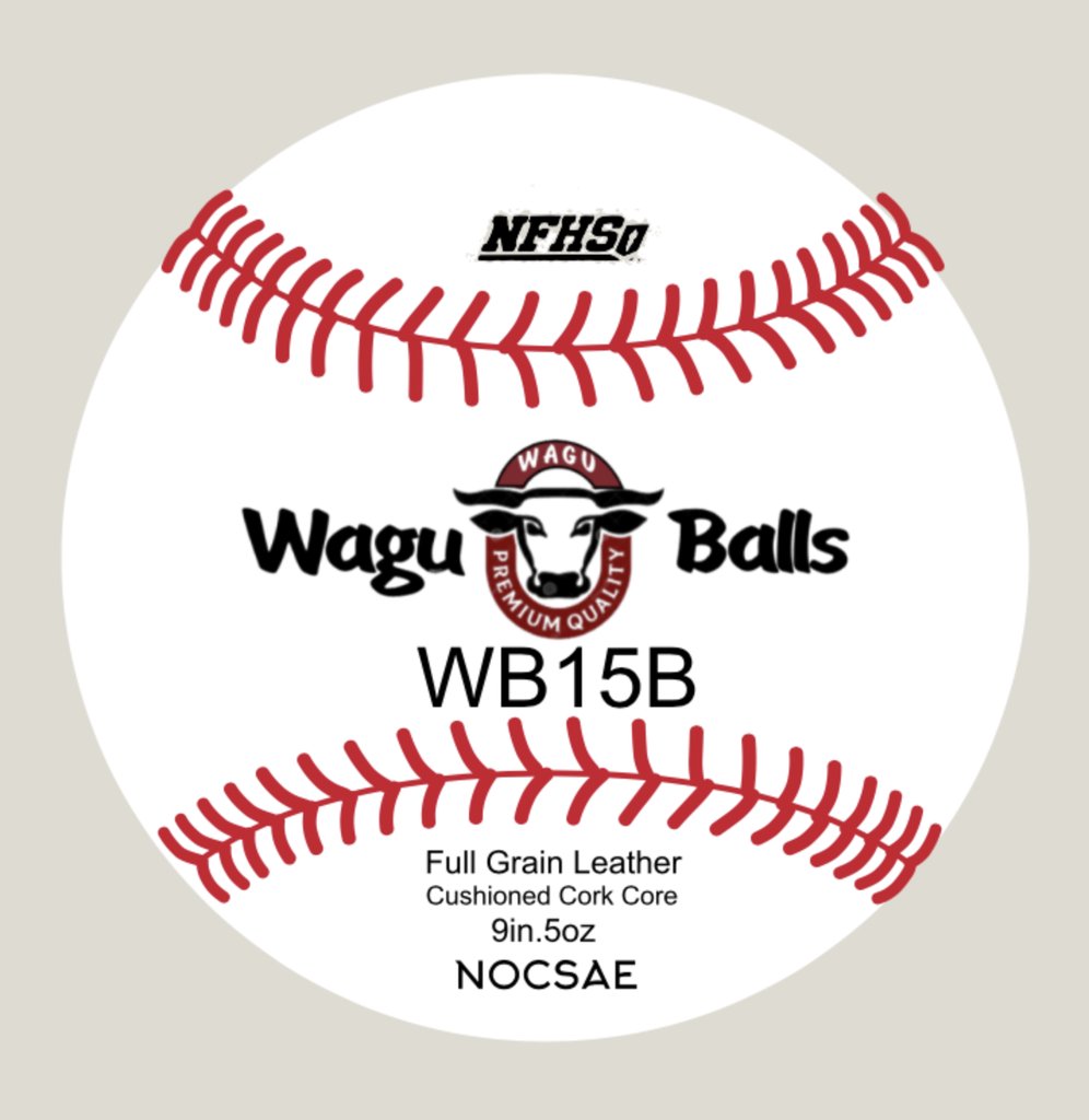 WB15B Recreation Game Ball