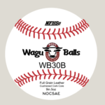 WB30B - Flat Seam Recreation Game Ball