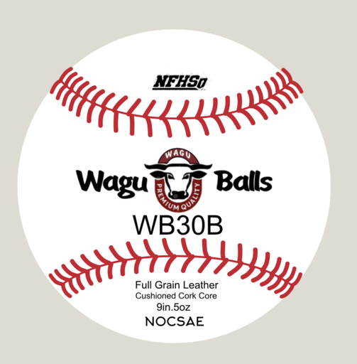 WB30B